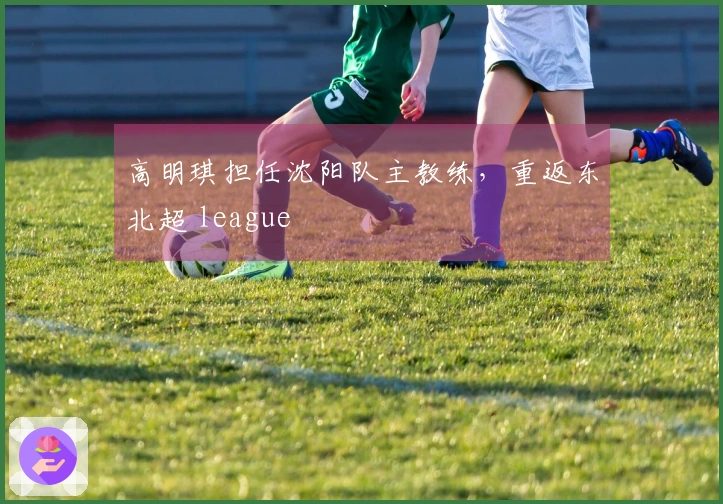 高明琪担任沈阳队主教练，重返东北超 league